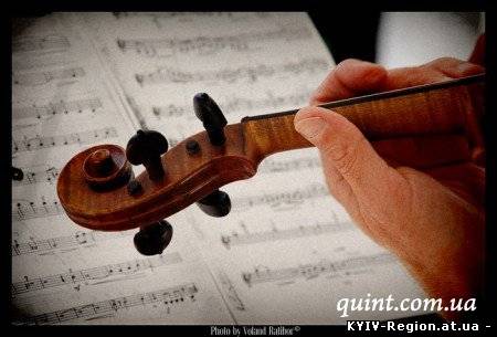 Услуги скрипичного мастера